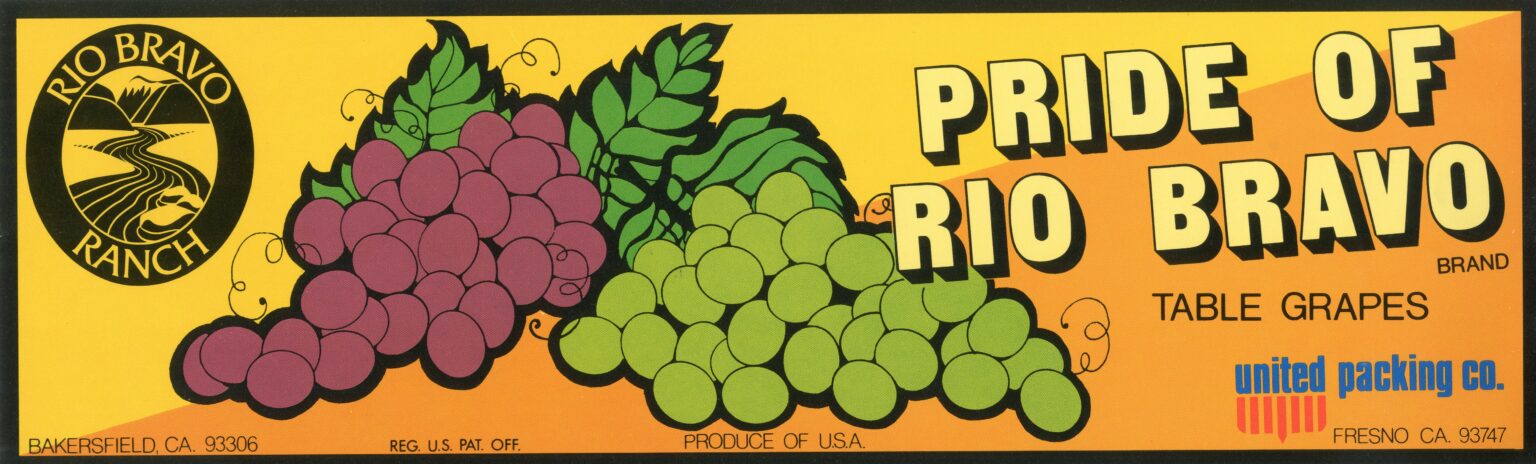 Pride of Rio Bravo